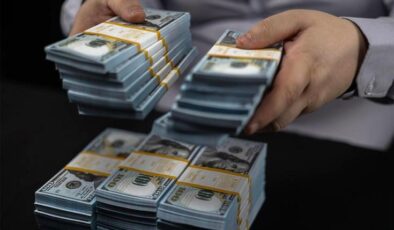 Merkez Bankası’ndan kritik döviz hamlesi