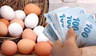 Yumurta fiyatı altını da solladı