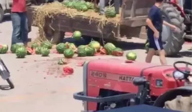 Geyve’de Karpuzları Parçalayan İki Kişiye İşlem