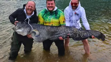 Borçka’da Amatör Balıkçılar 100 Kilo Yayın Balığı Yakaladı