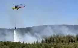 Çanakkale’de Orman Yangınına Müdahale