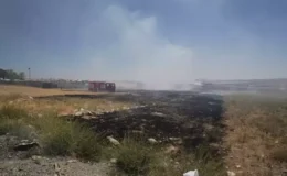 Eskişehir’de Otluk Alanda Yangın